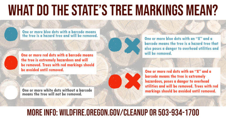 Hazard Tree Markings Explained