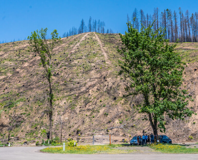 Disaster Case Managers are here to be a Resource for your Wildfire Recovery