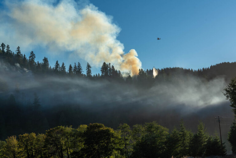 Campfires banned in state parks, state-managed forestland east of I5 effective Thursday, July 22