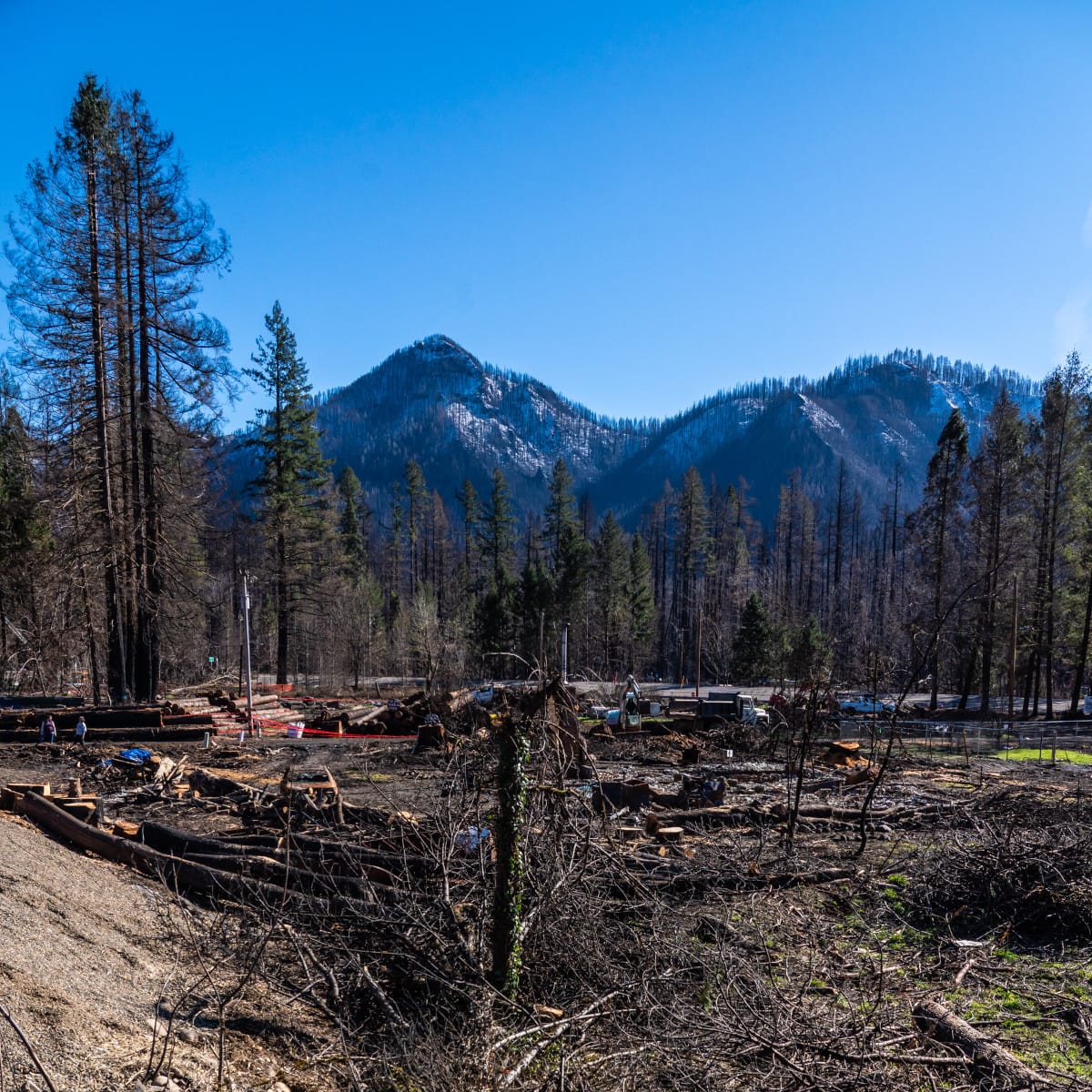 Helpful Guide to Insurance and Debris Removal and Cleanup Costs